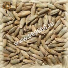 Солод ржан. светлый Castle Malting Rye, 1 кг. (Бельгия)